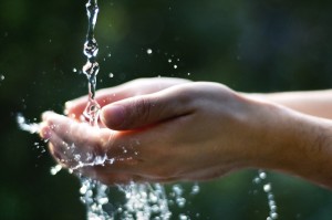 (alessandrianews.it)