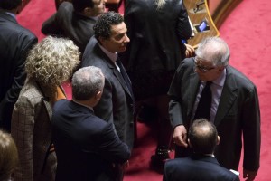 (Foto ANSA/ANGELO CARCONI)