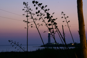 Uno scatto sul faro di Mazara Del Vallo, nei pressi del villaggio turistico "Kartibubbo" (kartibubbo.eu)
