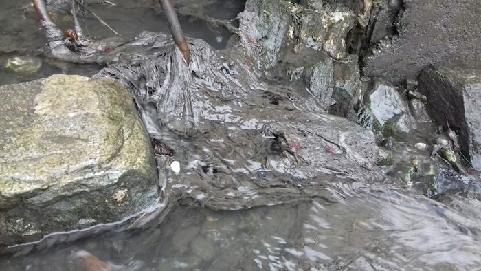 Luino 5 Stelle: "Il nostro territorio colpito da inquinamento e sversamenti abusivi di rifiuti"