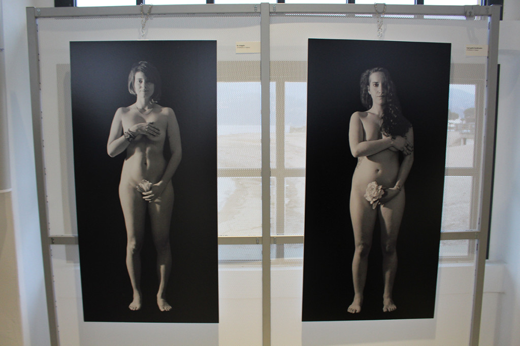 Germignaga: presentata "Io sono. Questo fiore", le donne al centro della mostra di Raffaella G. Fidanza