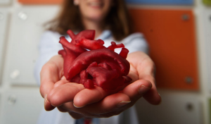 Un cuore creato con una stampante 3D (ridble.com)