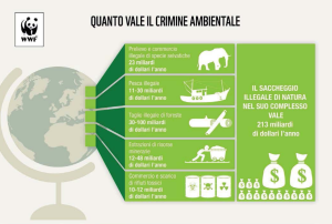 Lo studio del Wwf Italia (criminidinatura.wwf.it)