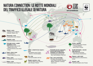 Lo studio del Wwf Italia (criminidinatura.wwf.it)