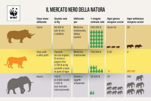 Lo studio del Wwf Italia (criminidinatura.wwf.it)
