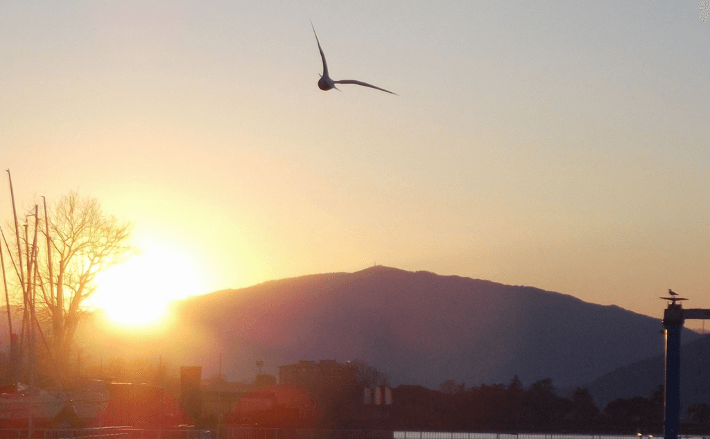 Buongiorno con la foto del giorno di Antonella Bonora, tra cielo e lago Maggiore