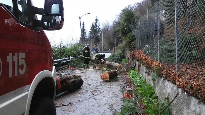 Cade albero a Cugliate: disagi su circolazione, corrente elettrica e telefonica