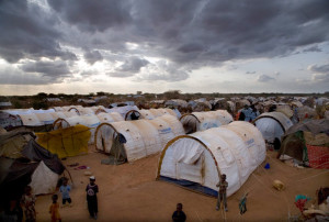 (migrationeducation.de)