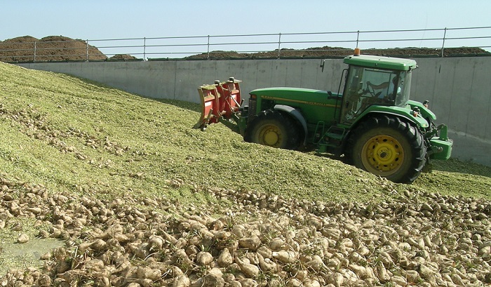 Biogas, Italia quarta al mondo per produzione: un modello di sostenibilità