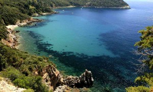 (albergorossella.it)