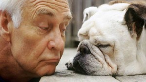 I cani somigliano al padrone e non solo, ne rispecchiano anche le emozioni