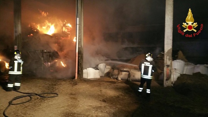 Induno Olona: le fiamme devastano un'azienda agricola, tratti in salva una cinquantina di bovini