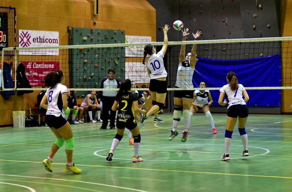 luino volley opel passeri garlasco serie d lombardia andata