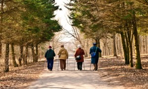 Inps: nuove pensioni in calo a causa di aumento età