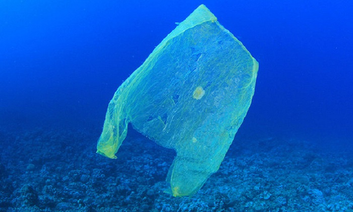 "Un mare di plastica" nel Mediterraneo: inquinamento tra massimi al mondo