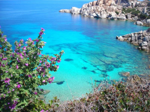 (appartamentisantateresagallura.it)
