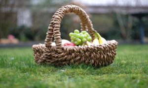 Pasqua e Pasquetta, i consigli di Greenpeace per un pic-nic ecologico
