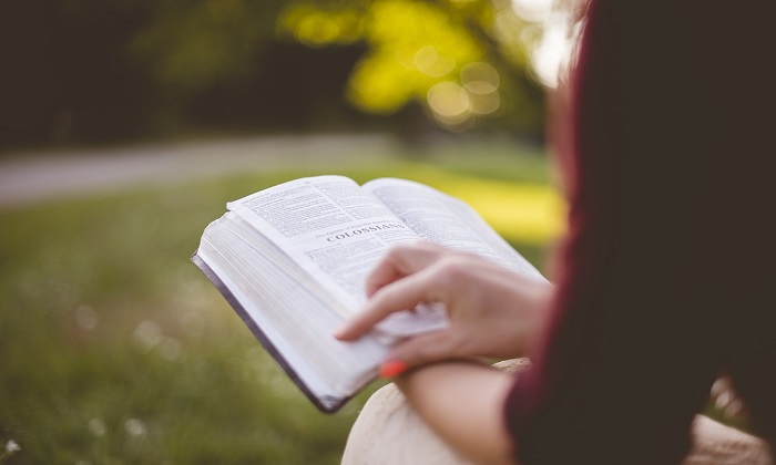 "Non è un Paese per lettori", italiani sempre meno interessati ai libri